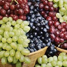 Fresh grapes, Brand Name : MI SOLE, Grade : FIRST CLASS