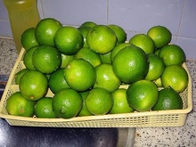 ORGANIC Fresh Lemons, Brand Name : cynto, Grade : class AAA