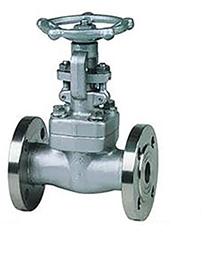American Standard Small-bore Forged Steel Power Plant Gate Valve