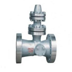 Empty Row Of Check Valve Apply For Power Station Valve