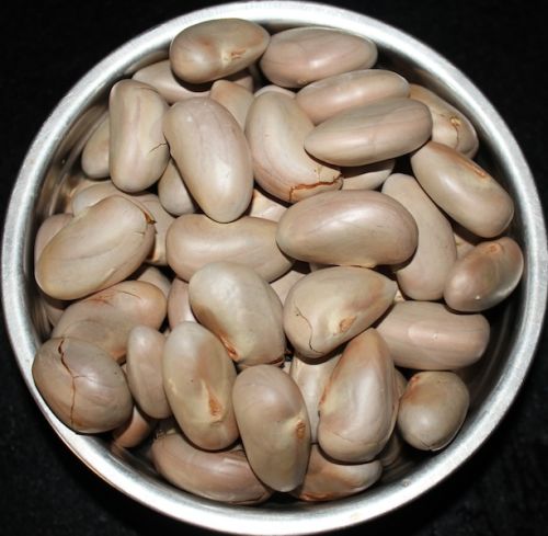 EXPORTING FROZEN JACKFRUIT WITHOUT SEED