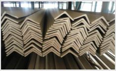 Stainless Steel Angles