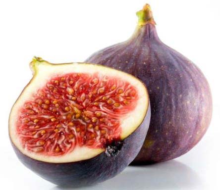 Fig