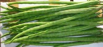 Fresh drumsticks, Application : Cooking