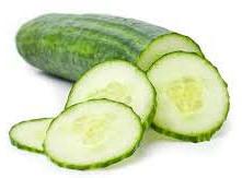 Fresh Cucumber,fresh Cucumber