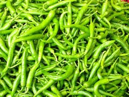 Fresh Green Chilli