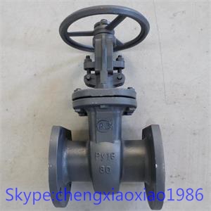 WCB Cast Steel Gate Valve (GOST)