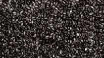 Organic Black Sesame Seeds, For Agricultural, Purity : 100%