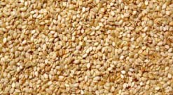 Organic Hulled Sesame Seeds, For Agricultural, Packaging Type : Plastic Bag