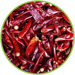 Dried Red Chilli