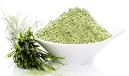 Wheatgrass Powder, Packaging Type : Plastic Bottle