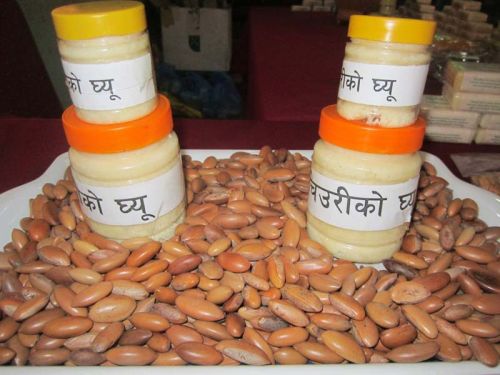 Vegetable Oil, Material : palm kernel