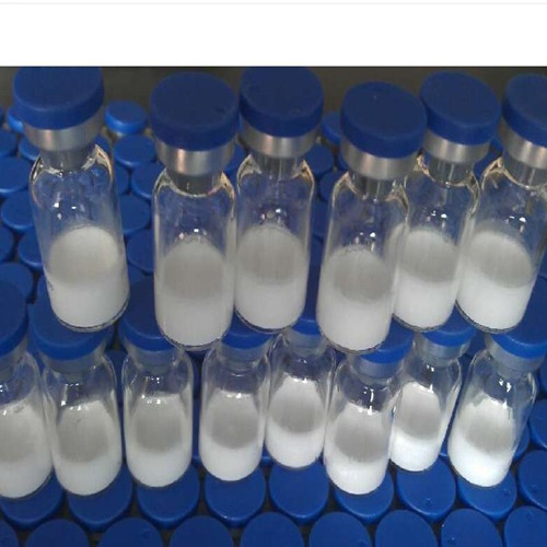 New Arrival Grape Seed Oil With High Quality