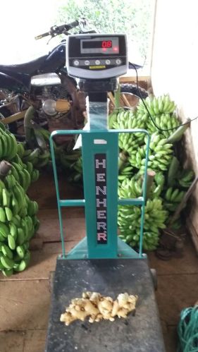 Ginger, Quality Available :A Grade