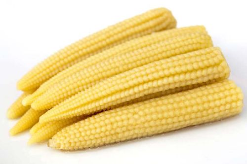 Fresh Babycorn