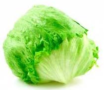 Fresh Iceberg Lettuce