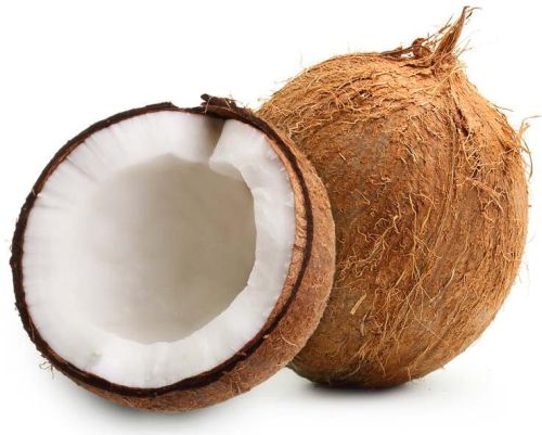 Organic Soft Fresh Coconut, For Cosmetics, Medicines, Pooja, Feature : Free From Impurities, Freshness