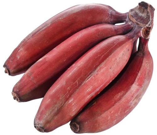 Fresh Red Banana