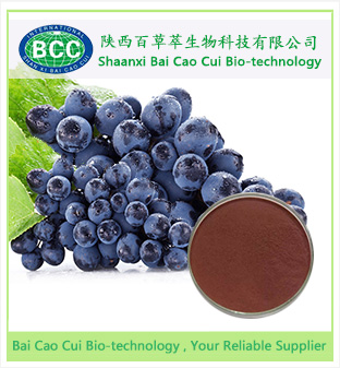 Grape Seed Extract, Brand Name : BaoCaoCui, Form : Powder