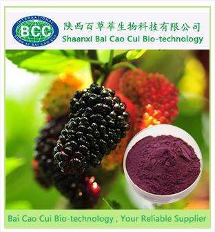 Mulberry Fruit Extract for HPLC