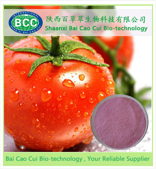 Tomato powder, Brand Name : BaoCaoCui