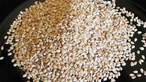 Sesame seeds, Shelf Life : 12 Months
