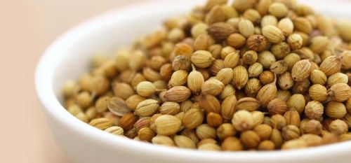 Coriander Seeds