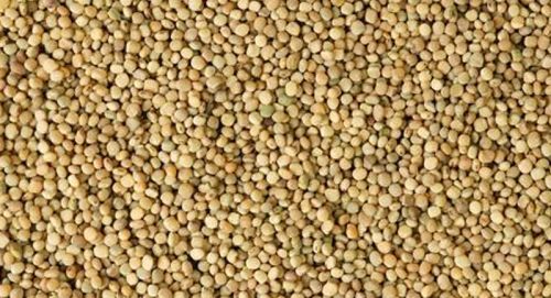 Guar Gum Seeds