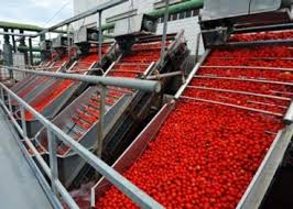 Fruit Processing Plant
