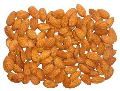 Almond, Feature : Rich In Protein