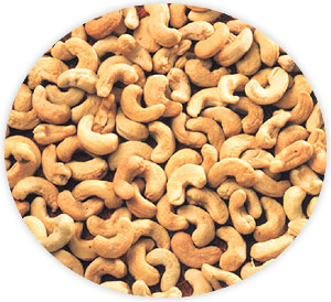 Cashew Nuts