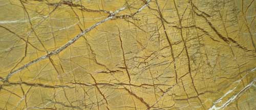 Rain Forest Gold Marble