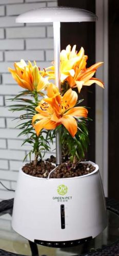 LED Grow Light Indoor Garden Hydroponics System