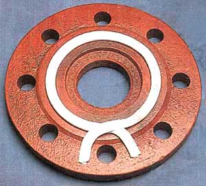 PTFE Sheet Gaskets