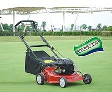 Electric Lawn Mowers (model No. : Axl-lm18ghp)