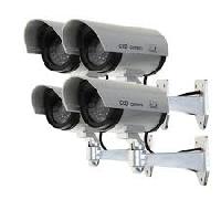 CCD Cameras