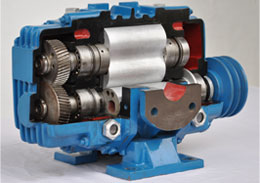 Twin Lobe Rotary Compressor