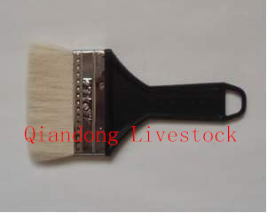 Paint Brush