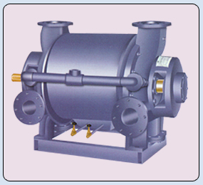 Liquid Ring Vacuum Pump