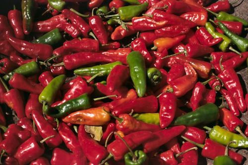 Chillies