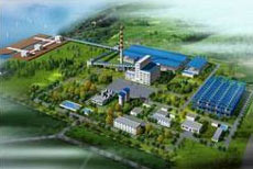 Thermal Power Plant