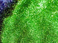 Glitter Powder-03