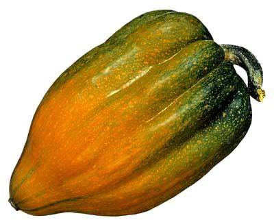 Fruit Squash, Certification : FSSAI Certified