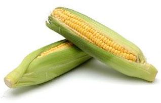 Yellow Maize