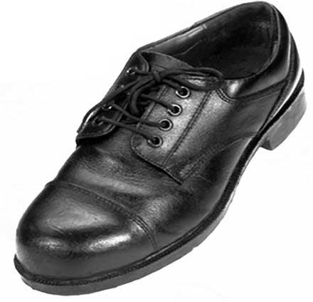 Industrial Safety Shoes (Model No. - 1002)