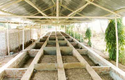 VP-08 Organic Vermicompost