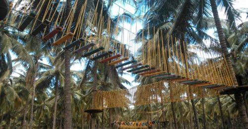 TREE TOP ROPE COURSE SETUP