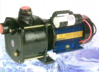 1 HP Shellow Well Monoblock Pump Set