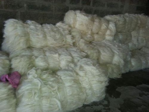 Natural Raw Sisal Fiber/Sisal Fibre Kenya, Grade : AA for Concrete