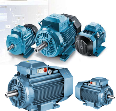 Standard Motor, Voltage : 415V; 220 - 690V